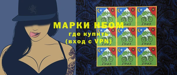 крисы Алзамай
