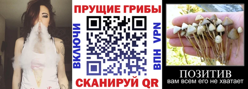 Галлюциногенные грибы ЛСД  Троицк 